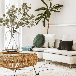 A bright and airy living room corner with a modern tropical feel. A large eucalyptus branch in a clear glass vase sits on a rattan table, with a white sofa adorned with a mix of plain and velvet cushions. A tall green plant adds a natural touch against the white walls, completing the serene ambiance.